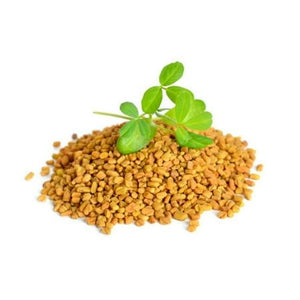 Fenugreek