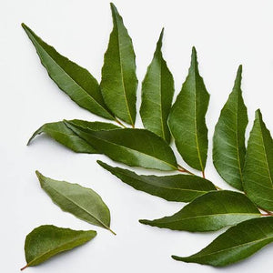 Curry Leaves
